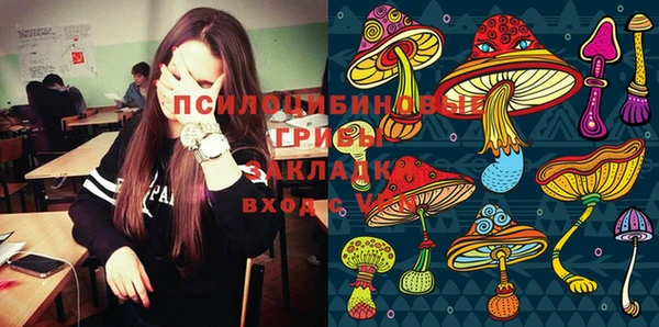 ECSTASY Зеленодольск