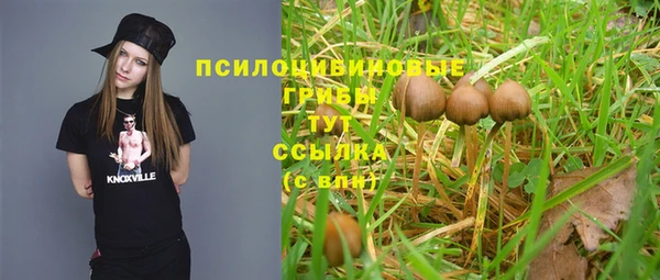 ECSTASY Зеленодольск