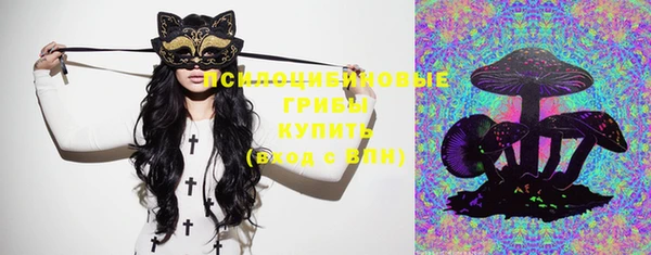 PSILOCYBIN Зеленокумск