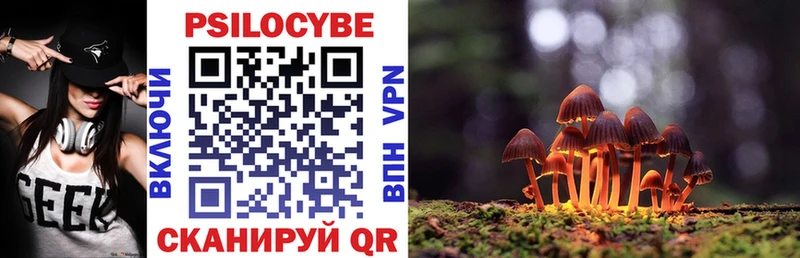 Купить  Дальнегорск  Псилоцибиновые грибы мухоморы 